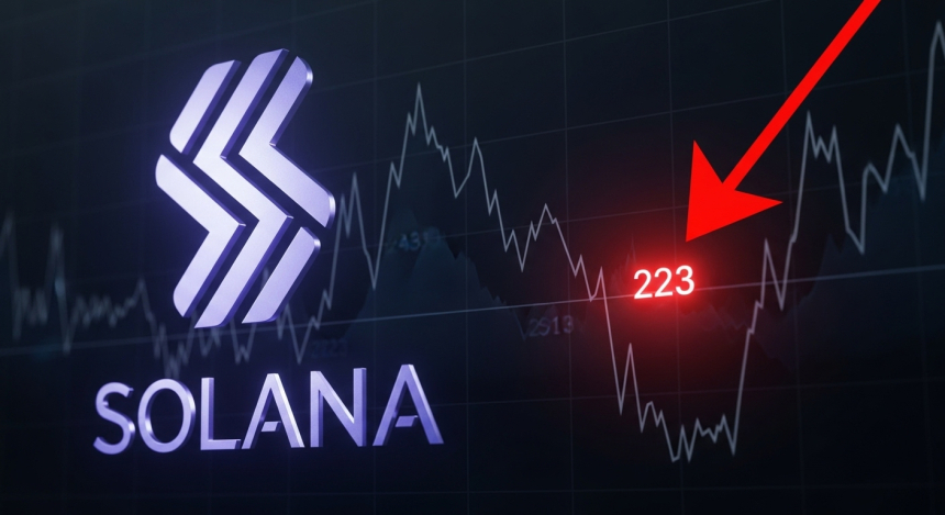  솔라나(SOL), 7% 급락에도 '223달러 지지선'에 주목…재반등 신호 포착되나
