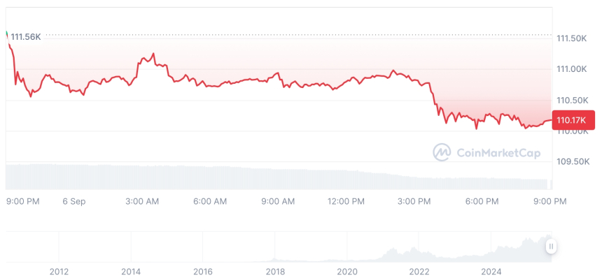  [모닝 시세브리핑] 암호화폐 시장 하락세… 비트코인 110,167달러, 이더리움 4,277달러