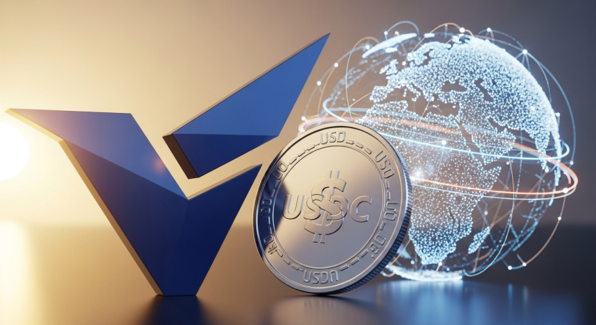 비자, 스테이블코인 기반 실시간 해외 송금 시범 추진…글로벌 결제 혁신 신호탄