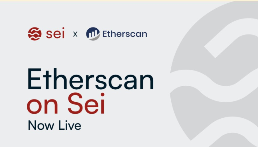  이더스캔, 세이에 업계 신뢰도 1위 탐색기 출시