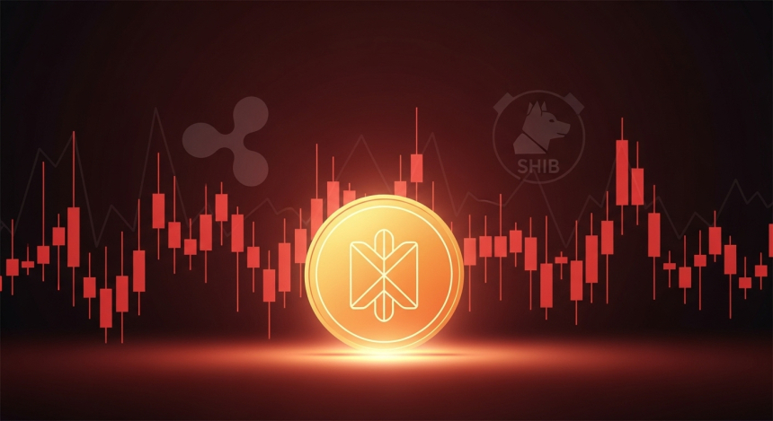 BNB 과열 랠리 속 XRP·시바이누 동반 약세…암호화폐 시장 '온도차'