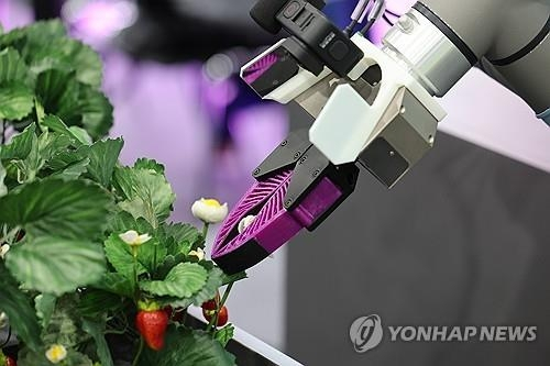 전통산업의 반란… AI 품은 웅진·쏘카·대동, 테크기업으로 진화 중