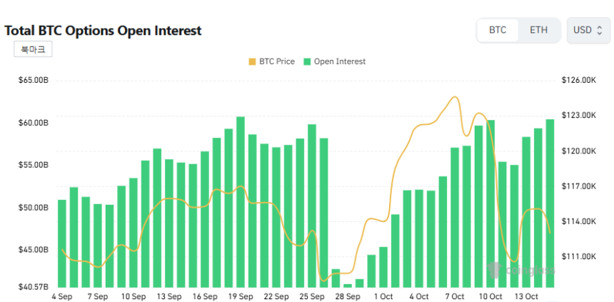 [비트 옵션 데일리] 미결제약정 604억 달러…거래량 2배 '껑충'