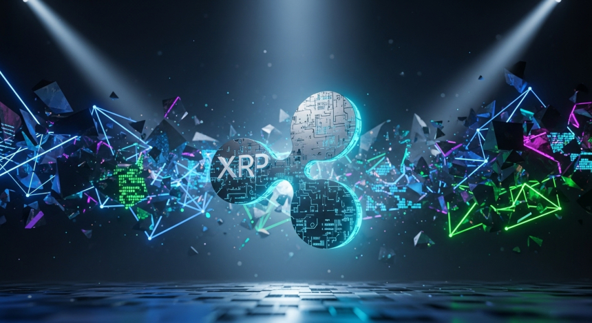 리플 CTO 퇴임 후 고백…“XRP 기반 보편 결제 프로토콜, 현실은 냉혹하다”