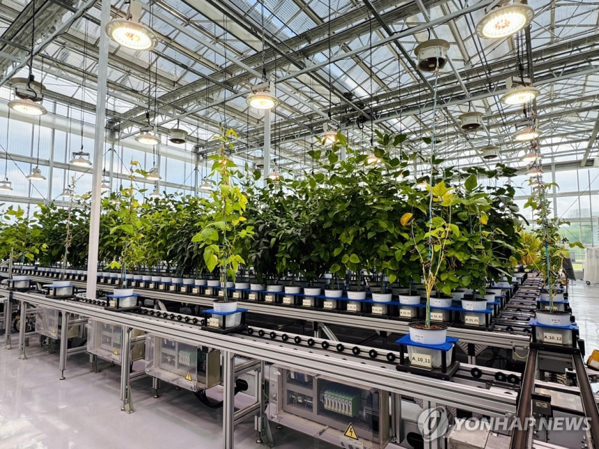  종자 분석 1초면 끝…AI 영상기술로 농업에 디지털 바람