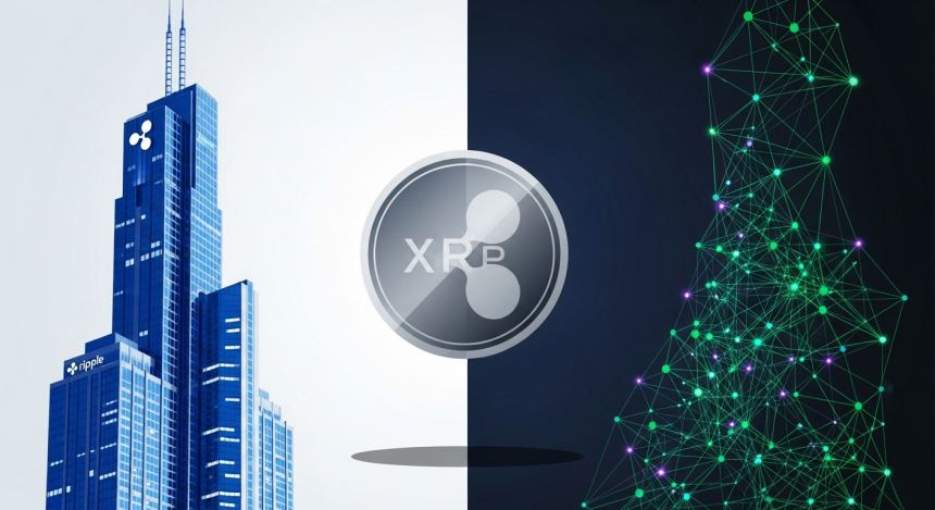  XRP 커뮤니티, '리플 의존 구조' 두고 내부 분열…분산화 본질 vs 성장 전략 논쟁