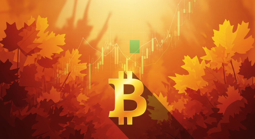 AI 3대장, 비트코인 11만 달러 돌파 예측…10월 '업토버' 기대감 고조