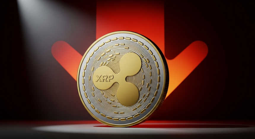  리플(XRP) 대규모 이체…시바이누 폭락과 비트코인 주기 붕괴 신호