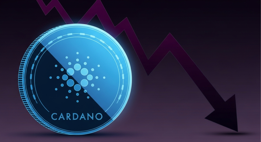 에이다(ADA), 3일간 17% 폭락…“데드캣 바운스” 경고 확산