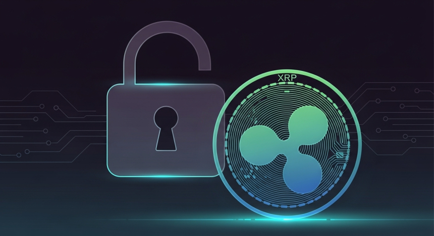  리플 CTO, 하드웨어 지갑 피싱 급증 경고…도지코인 기업 상장 추진도 주목