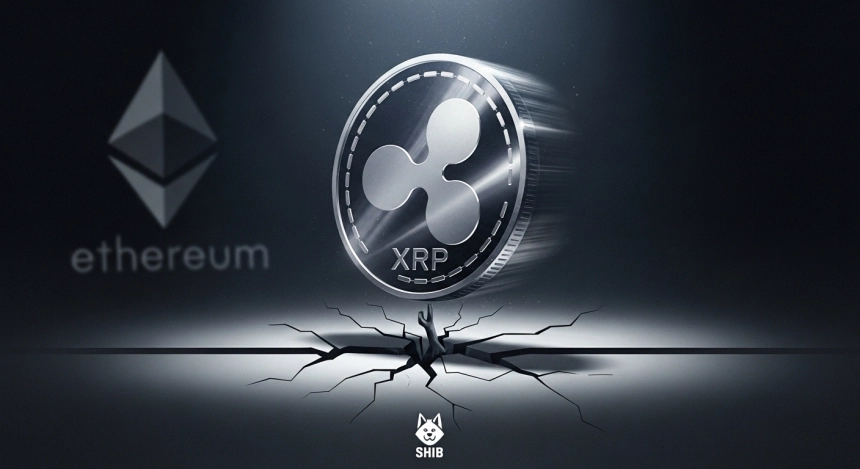 XRP 추락, ETH 침체, SHIB 반등 시도…암호화폐 시장 '삼중 약세' 경고