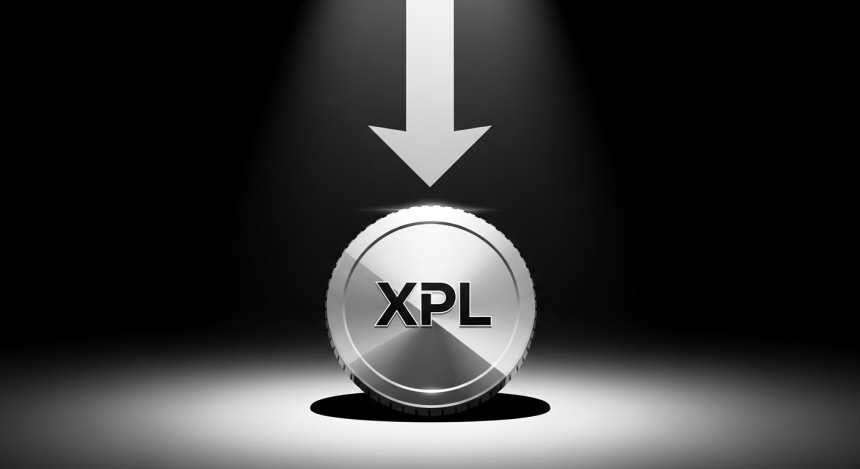 XPL 토큰 50% 급락에 '내부자 매도' 의혹…플라즈마 창립자 전면 부인