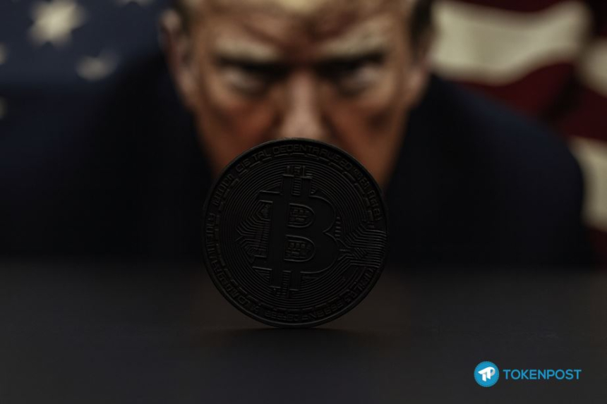  [사설] 블랙스완이 덮친 코인 시장… 레버리지의 탐욕이 초래한 자멸