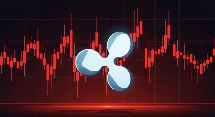 암호화폐 하루 새 1조 2,510억 원 증발…트럼프 발언에 알트코인 급락