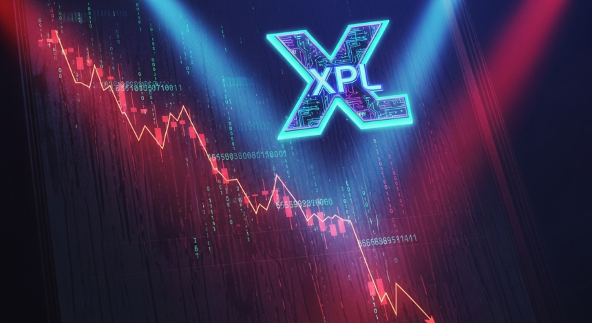 XPL 토큰 하루 만에 반토막…플라스마 창립자 '내부자 매도 없다' 해명