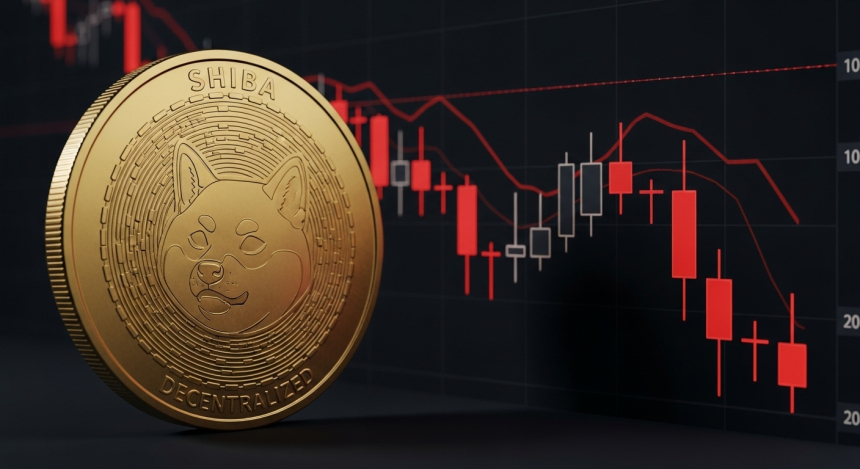 시바이누($SHIB), 기술적 저항에 부딪혀 상승세 멈춰…추가 하락 가능성 제기