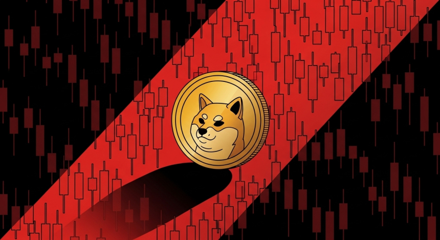 시바이누(SHIB), 비트코인 하락장 속 단독 상승…'매집 신호' 가능성 제기