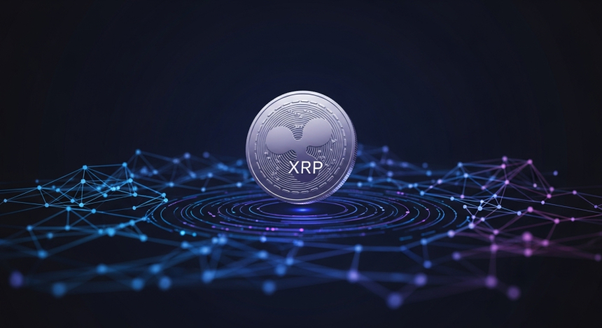  XRP, 장기 하락장 속에도 네트워크는 견고…일일 트랜잭션 100만 건 유지