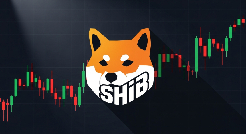  시바이누(SHIB), 기술지표 '추가 하락' 경고…최대 35% 낙폭 우려