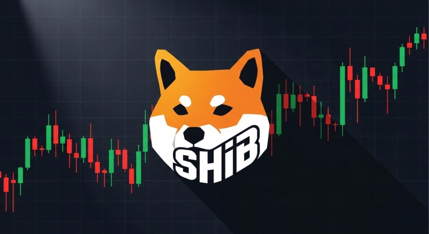 시바이누(SHIB), 기술지표 '추가 하락' 경고…최대 35% 낙폭 우려