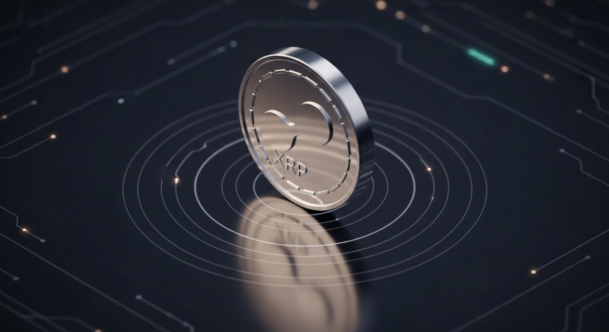  XRP 현물 유입량 2,490% 폭증…미국 ETF 출범에 고래 거래 몰렸다