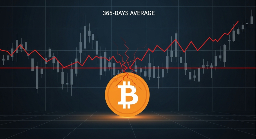 비트코인, 1년 평균선 붕괴…불마켓 최대 조정 신호 분석 나왔다