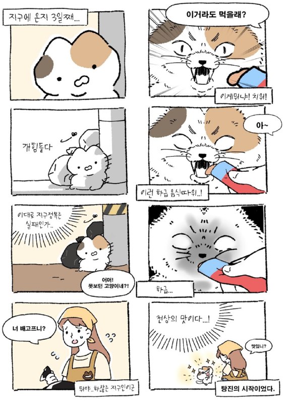 웹3 기반 반려동물 플랫폼 스낵스, 킬러 디앱 ‘스낵캣’ 공식 론칭 근황 공개