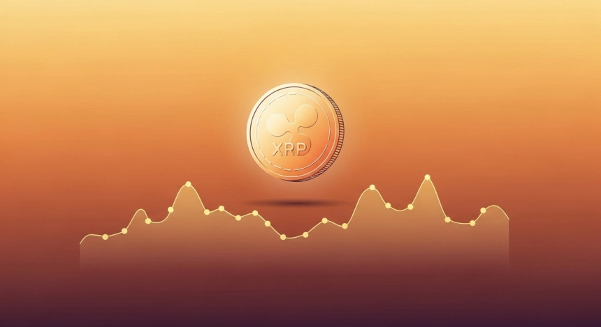 XRP, 베이비붐 세대가 만든 '버티는 힘'…장기 지지 배경에 세대 투자 성향 분석