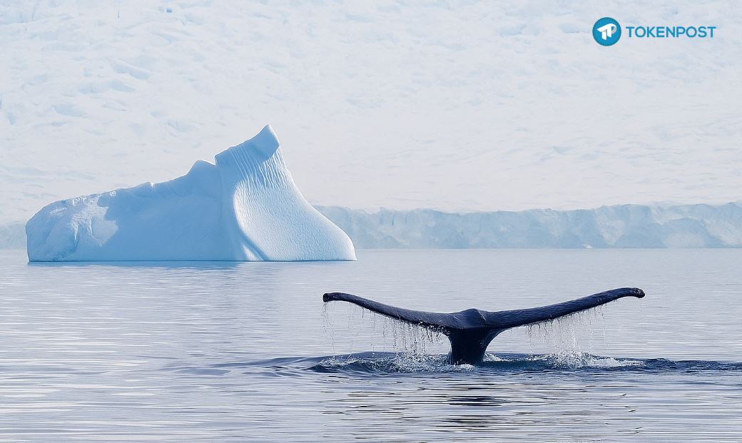 [사설] “비트코인의 ‘유동성의 역설’…돈이 커질수록 열기는 식는다”