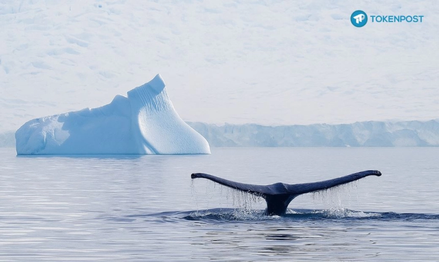 [사설] 비트코인의 ‘유동성의 역설’…돈이 커질수록 열기는 식는다