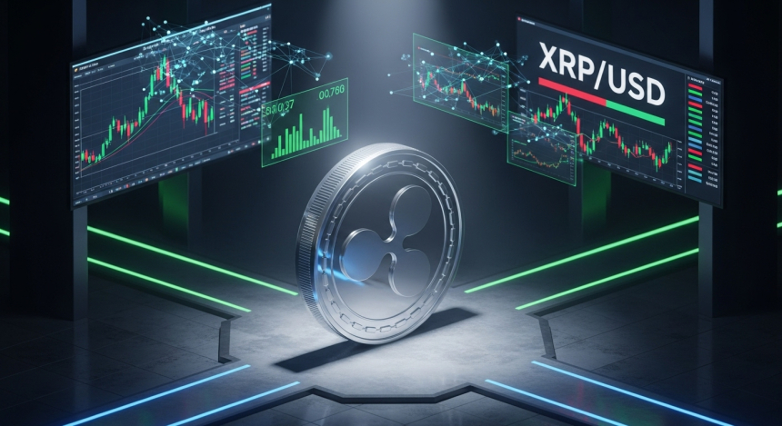리플(XRP) ETF 두 번째 상장…거래 첫날 295억 원 거래, 제도권 진입 속도