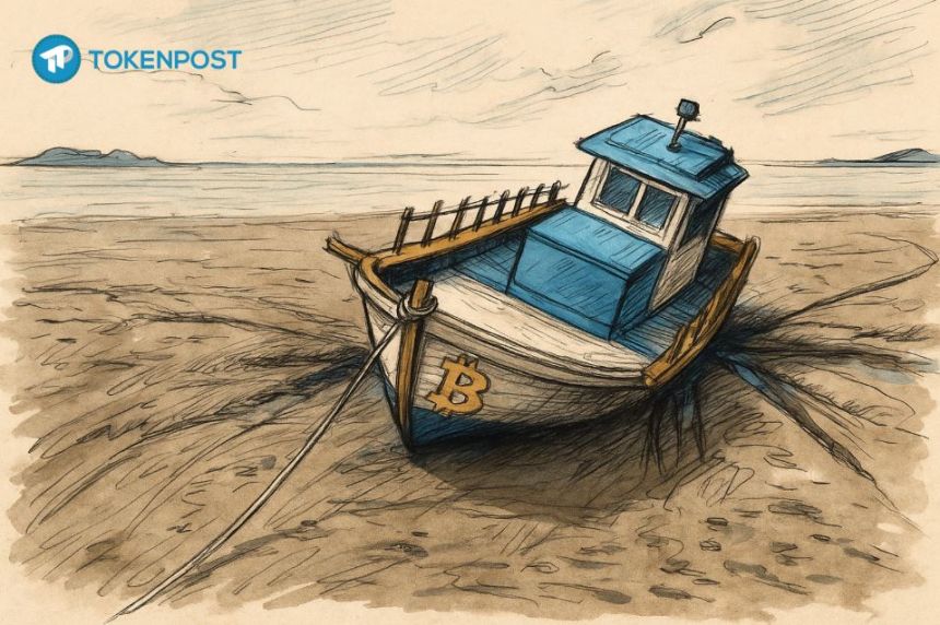  [토큰포스트 칼럼] 알트코인 시즌, 정말 끝났을까?