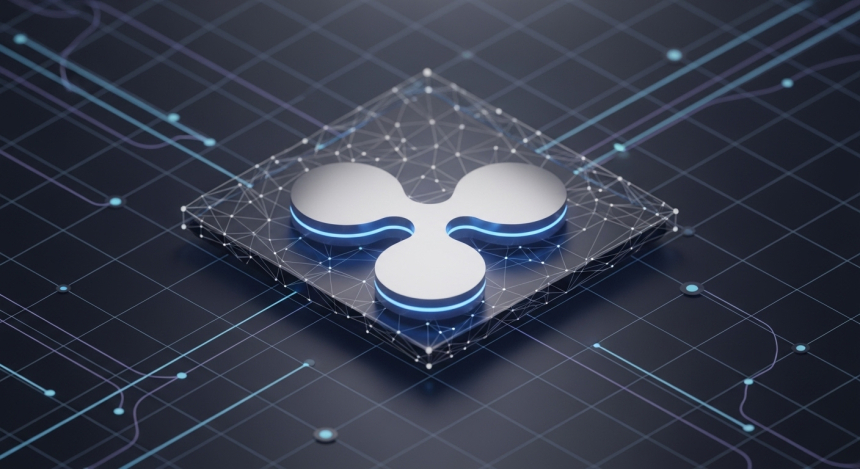  XRPL 핵심 개발자 “YOLO식 개정 위험… 반복 검증 절차 필요”