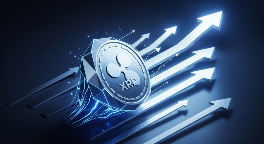  XRP ‘골든크로스’로 상승 기대…시바이누 거래량 폭증, 비트코인엔 ‘데드캣 바운스’ 경고