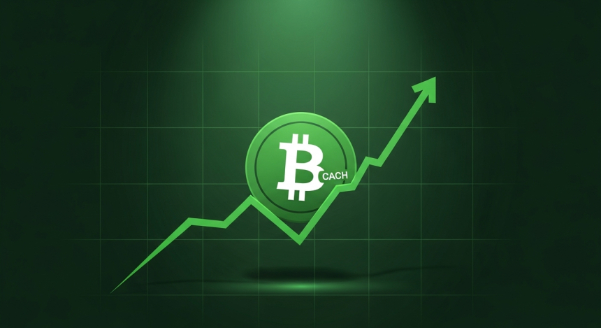  비트코인캐시(BCH) 10% 급등…5억 달러 투자에 에이다 시총 추격