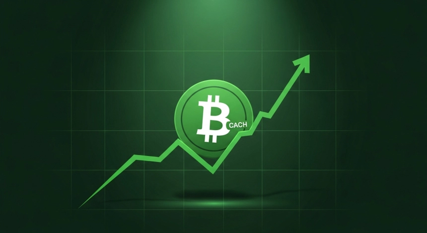 비트코인캐시(BCH) 10% 급등…5억 달러 투자에 에이다 시총 추격