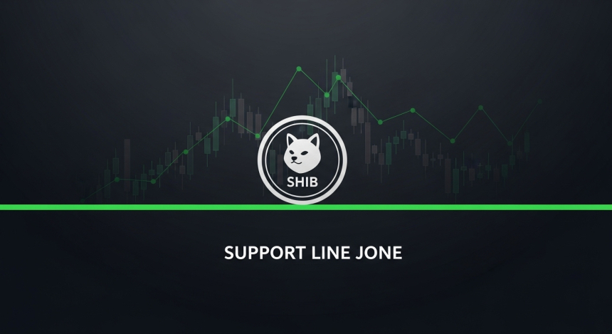 시바이누(SHIB), 핵심 지지선서 반등…재도약 신호일까 단기 숨 고르기일까