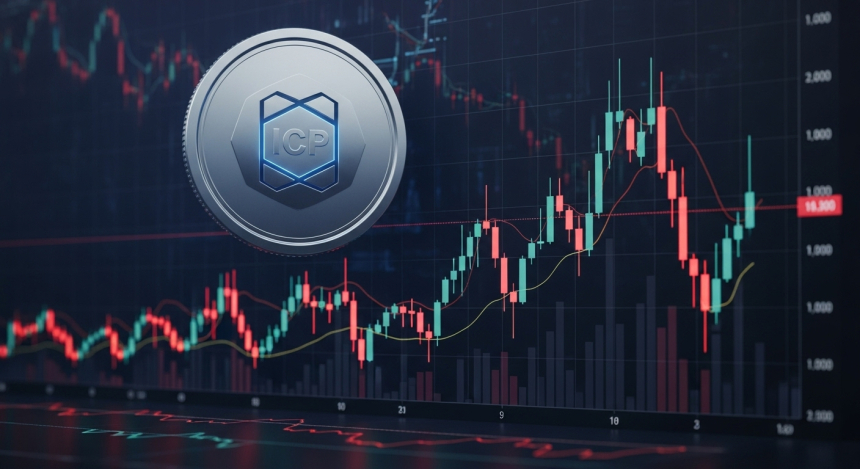  인터넷컴퓨터(ICP), 일주일 새 32% 급락…과매도 신호에 '저점 매수' 시선도