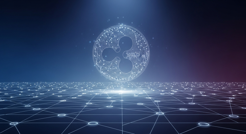 리플 CTO “XRPL에는 세금도, 가치 축적도 없다… 완전한 탈중앙 구조” 반박