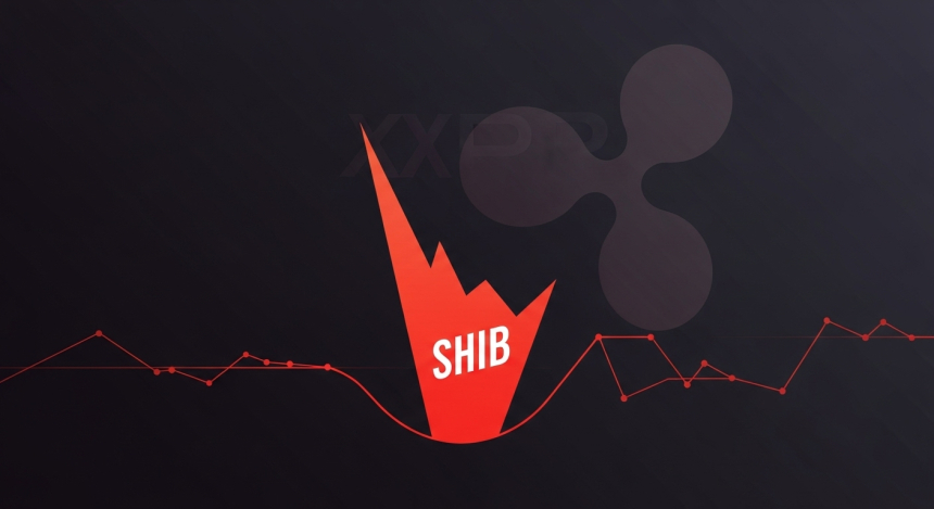  시바이누 반등 조짐…XRP는 11월 강세 공식 깨져, 블랙록은 3,099억 원 규모 비트·이더 매도