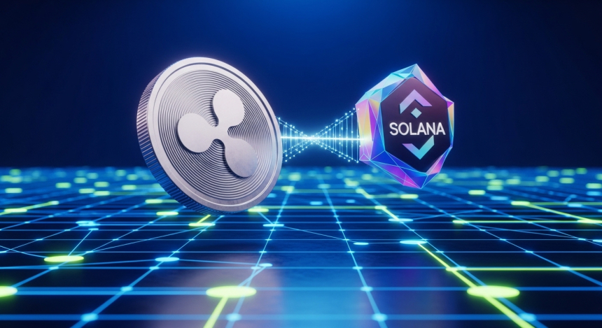  XRP–솔라나 연결한다…'XRP 텐드라' 출범에 33억 원 유입