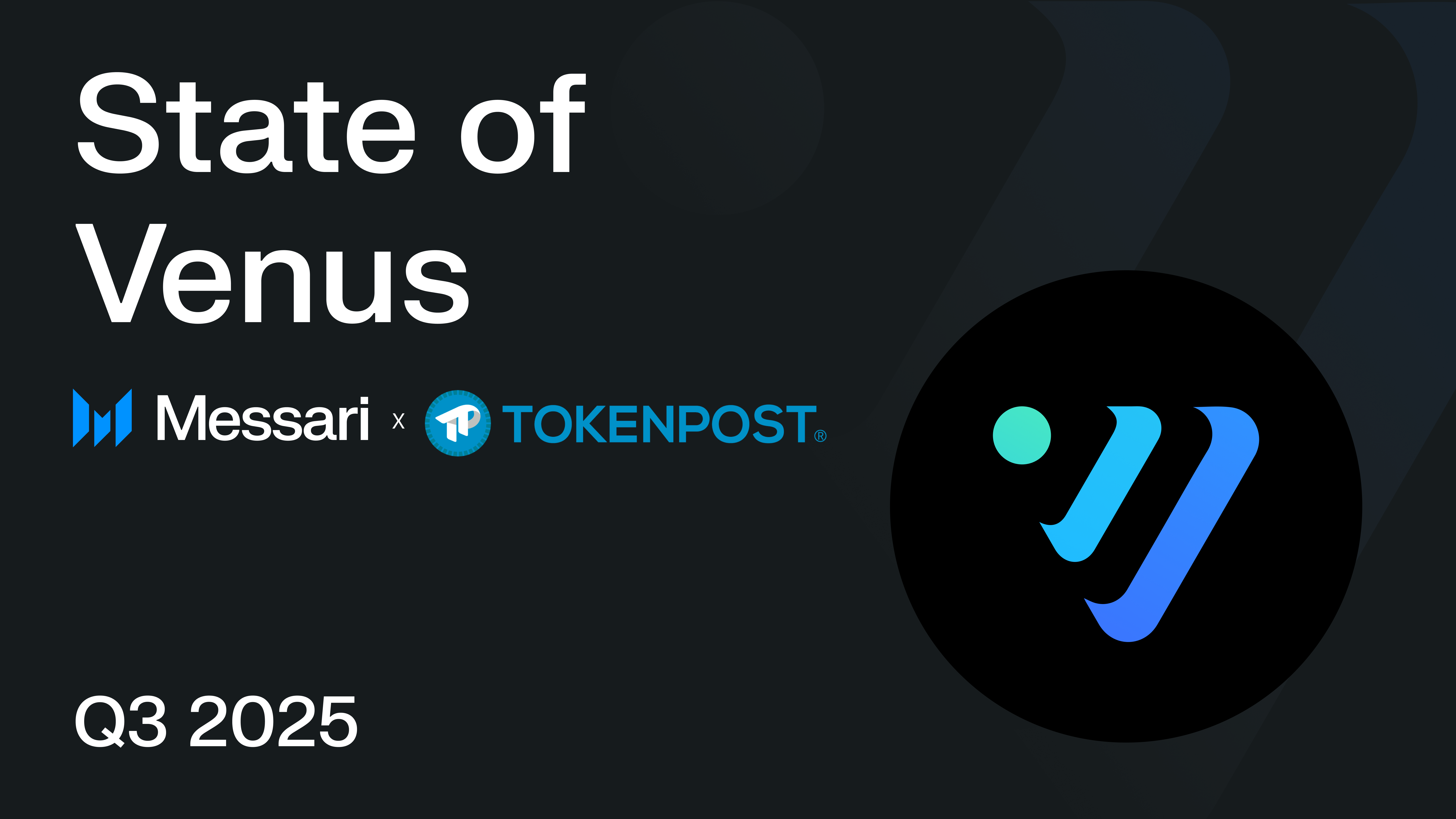 비너스, TVL·차입 모두 급등…“디파이 핵심 거점으로 부상”