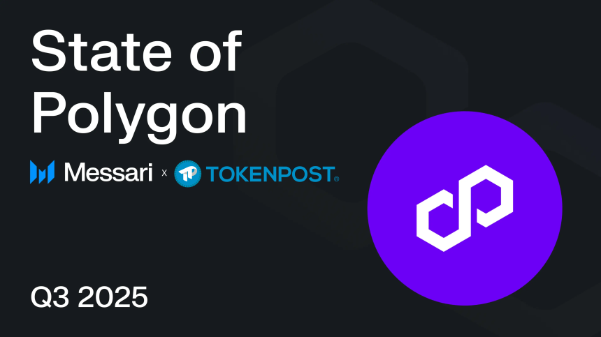  “결제부터 실물자산까지”…메사리, ‘만능 인프라’ 폴리곤의 생태계 확장 분석