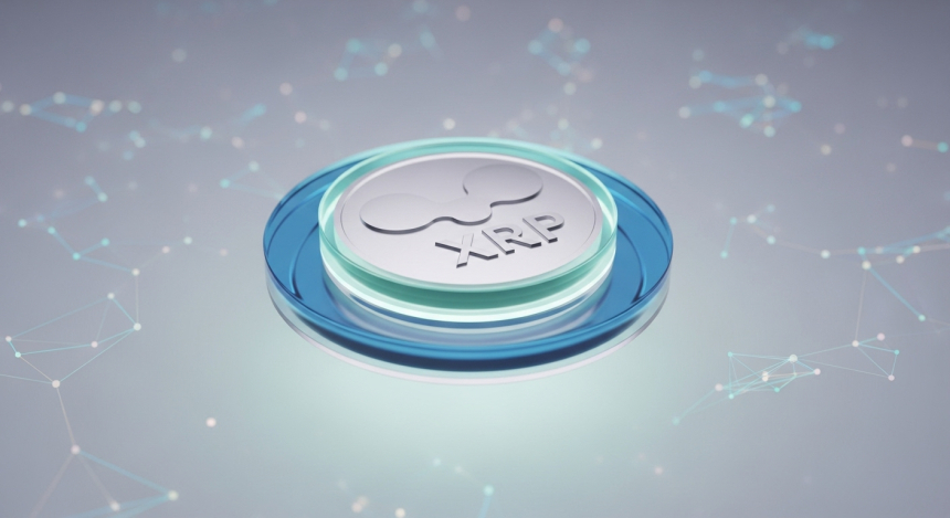  도지코인($DOGE) 20% 급락…XRP 튠드라 '듀얼 체인' 실사용 확장으로 차별화