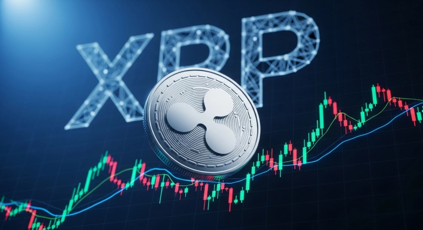 포트노이, 급락장 속 XRP 재매수... '2달러 아래서 13억 원 어치 매입'