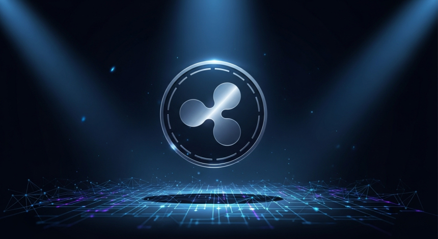  리플 CTO “XRP는 발행자 없는 자산…클로백 적용 안 돼”