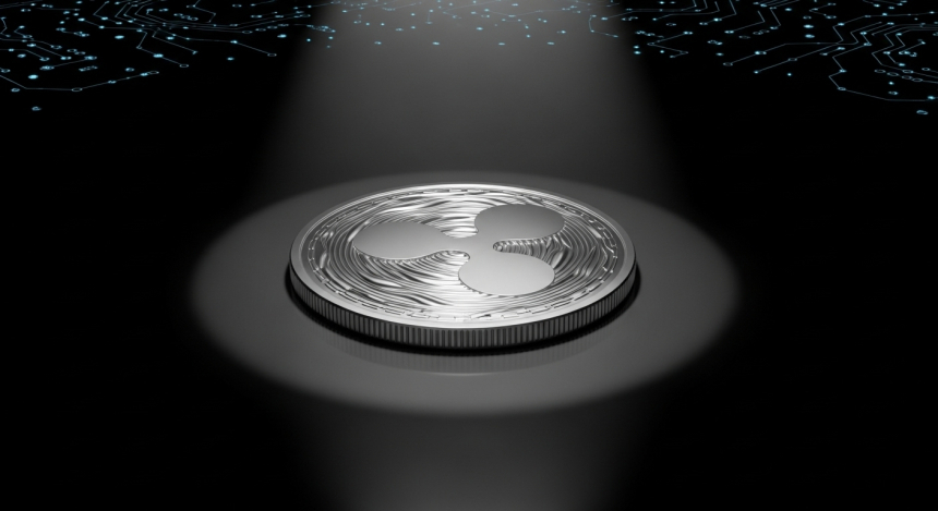  XRP 설계자 데이비드 슈워츠, CTO 물러나 '명예 CTO'로 전환…리플 기술 리더십 교체 신호