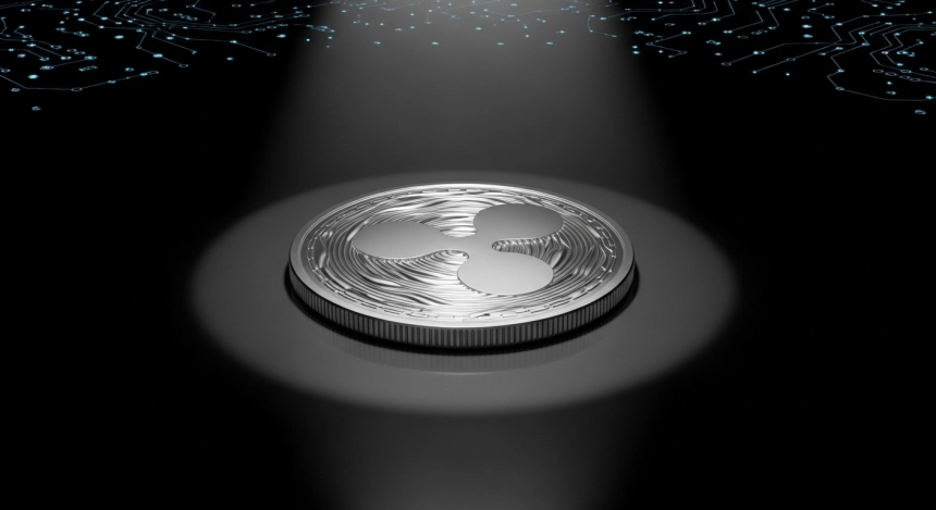 XRP 설계자 데이비드 슈워츠, CTO 물러나 '명예 CTO'로 전환…리플 기술 리더십 교체 신호