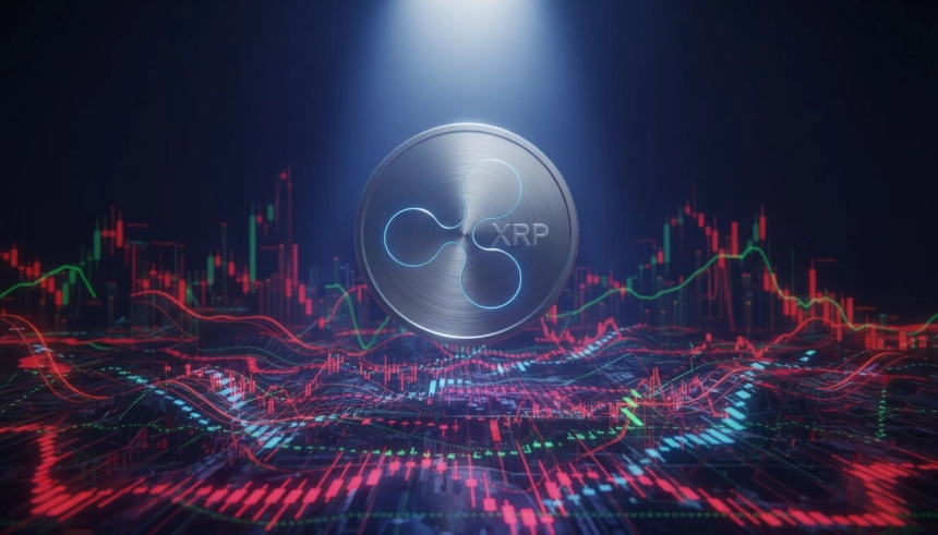리플(XRP), 구조적 약세 속 시총 4위 수성…BNB, 규제 부담에 추격 난항