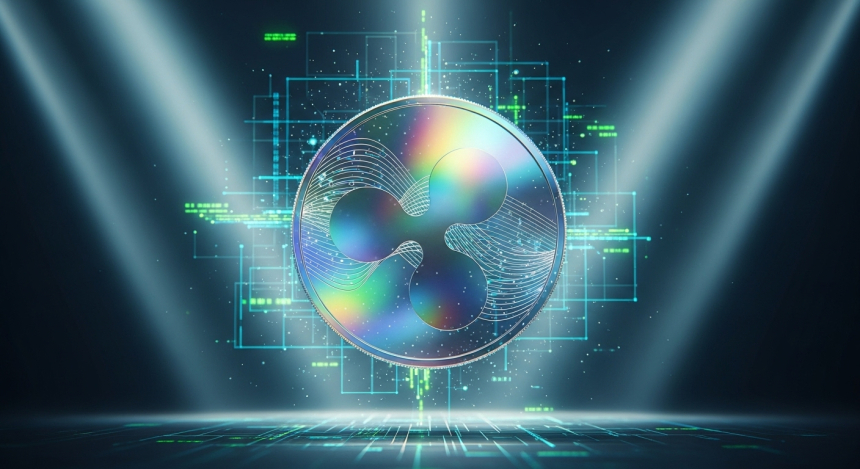  리플, 팔리세이드 인수…기관 대상 커스터디 사업에 5조원 투자